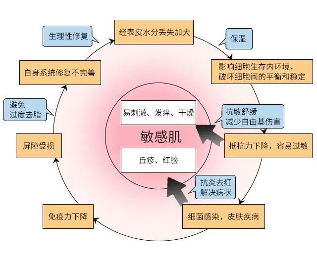 什么是屏障受损？屏障受损应该如何修复？