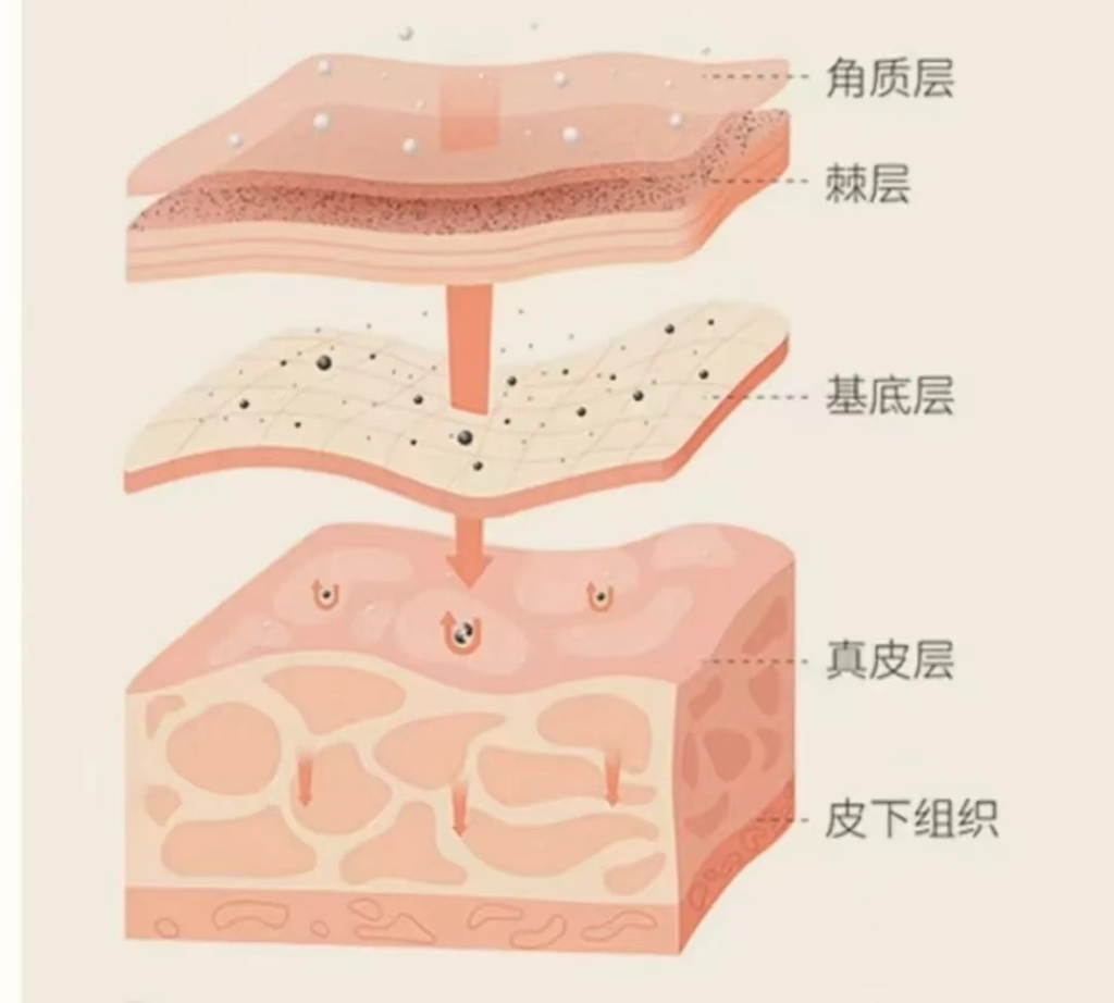 面部刷酸的作用与注意事项