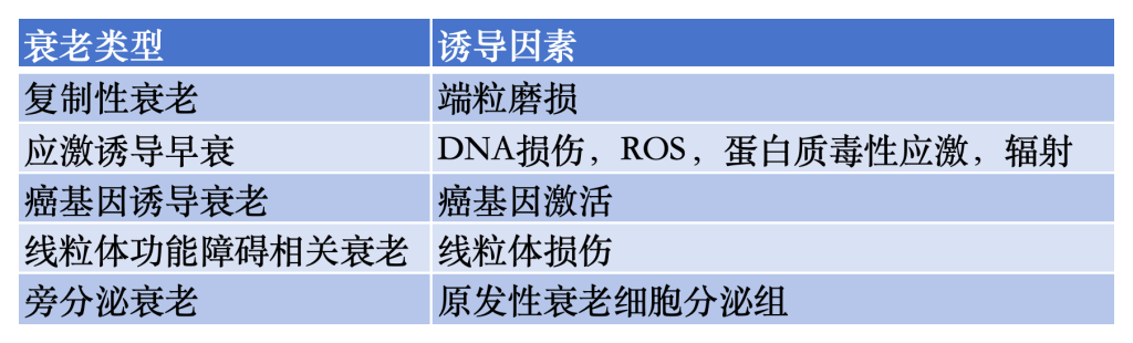 皮肤衰老的原因？90%的人都不知道