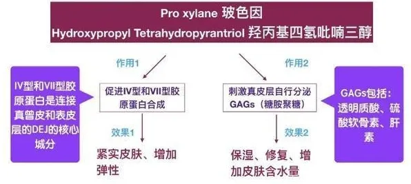 2024年护肤热门功效成分Top30有哪些？