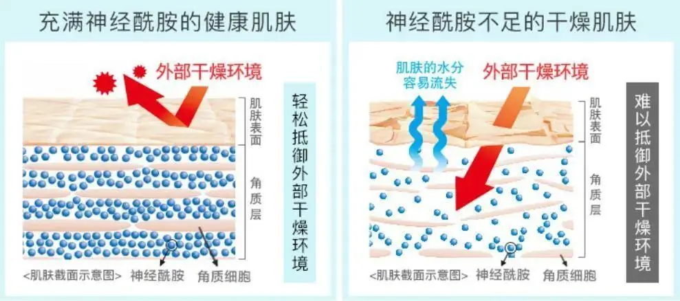 2024年护肤热门功效成分Top30有哪些？