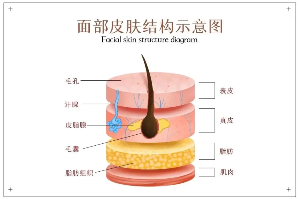 水光作用、功效、水光作用原理，水光与普通面膜区别