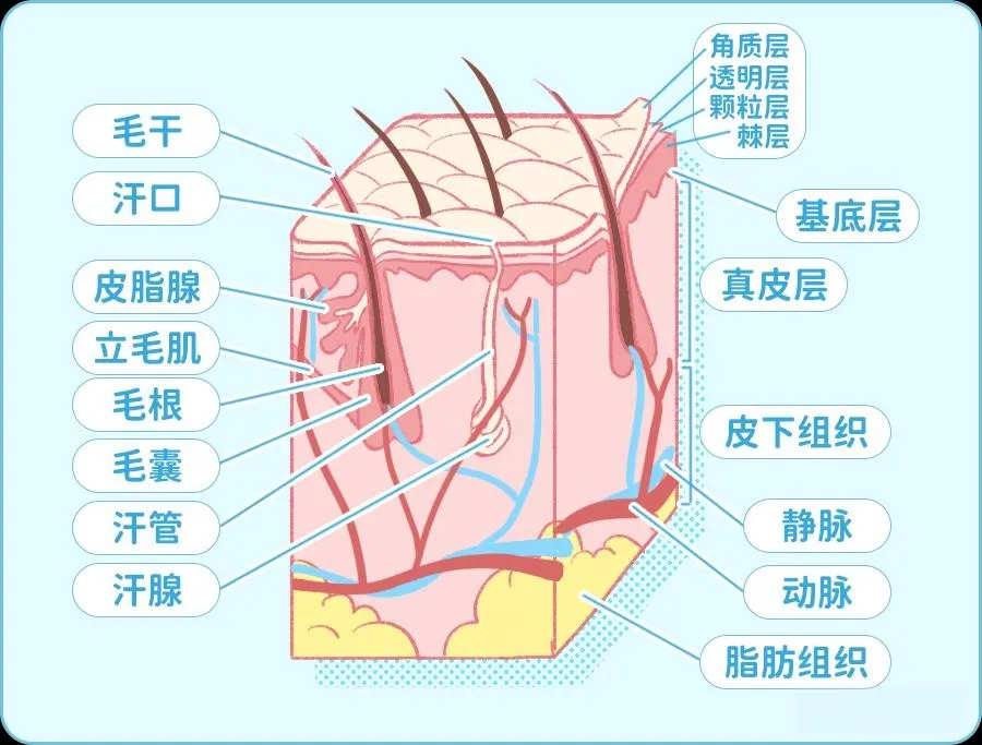 补水≠保湿，很多人傻傻分不清