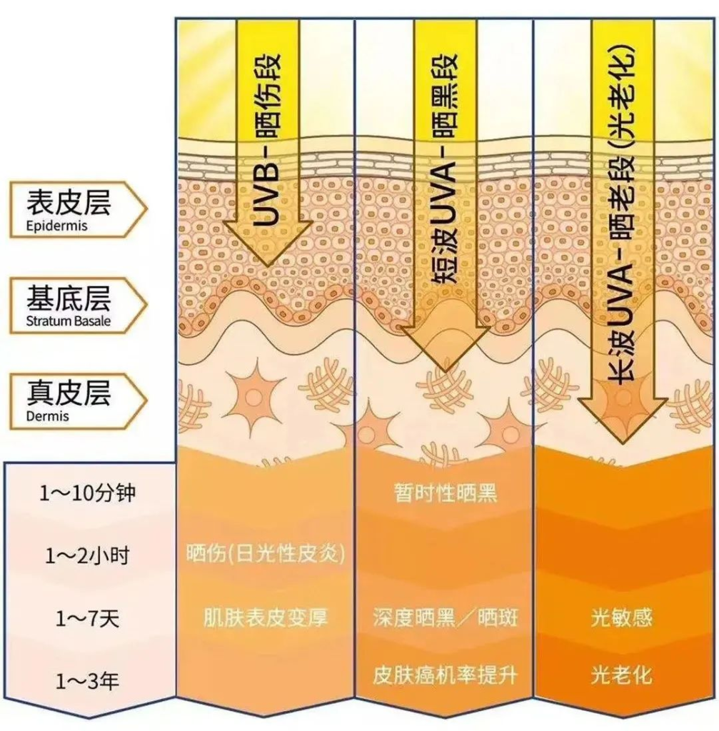 想要提亮肤色，从正确防晒开始！