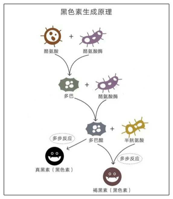 刷酸能焕亮吗？皮肤管理刷酸方法！